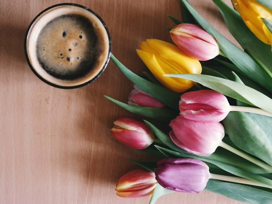 Makna Bunga Tulip, Hadiah Paling Manis saat Menjenguk