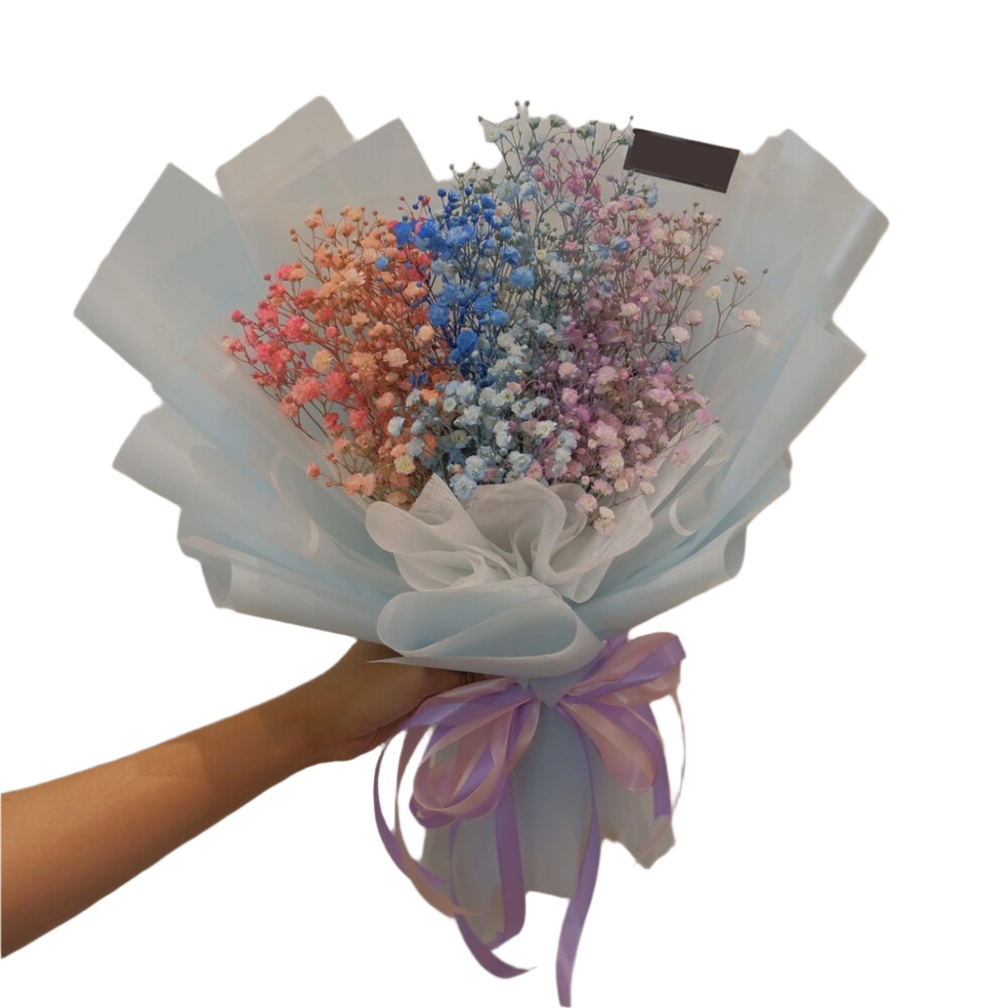 Baby Breath, Graduation, Premium