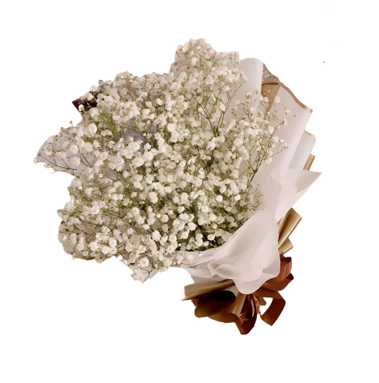 Graduation, Baby Breath, Bouquet Flower