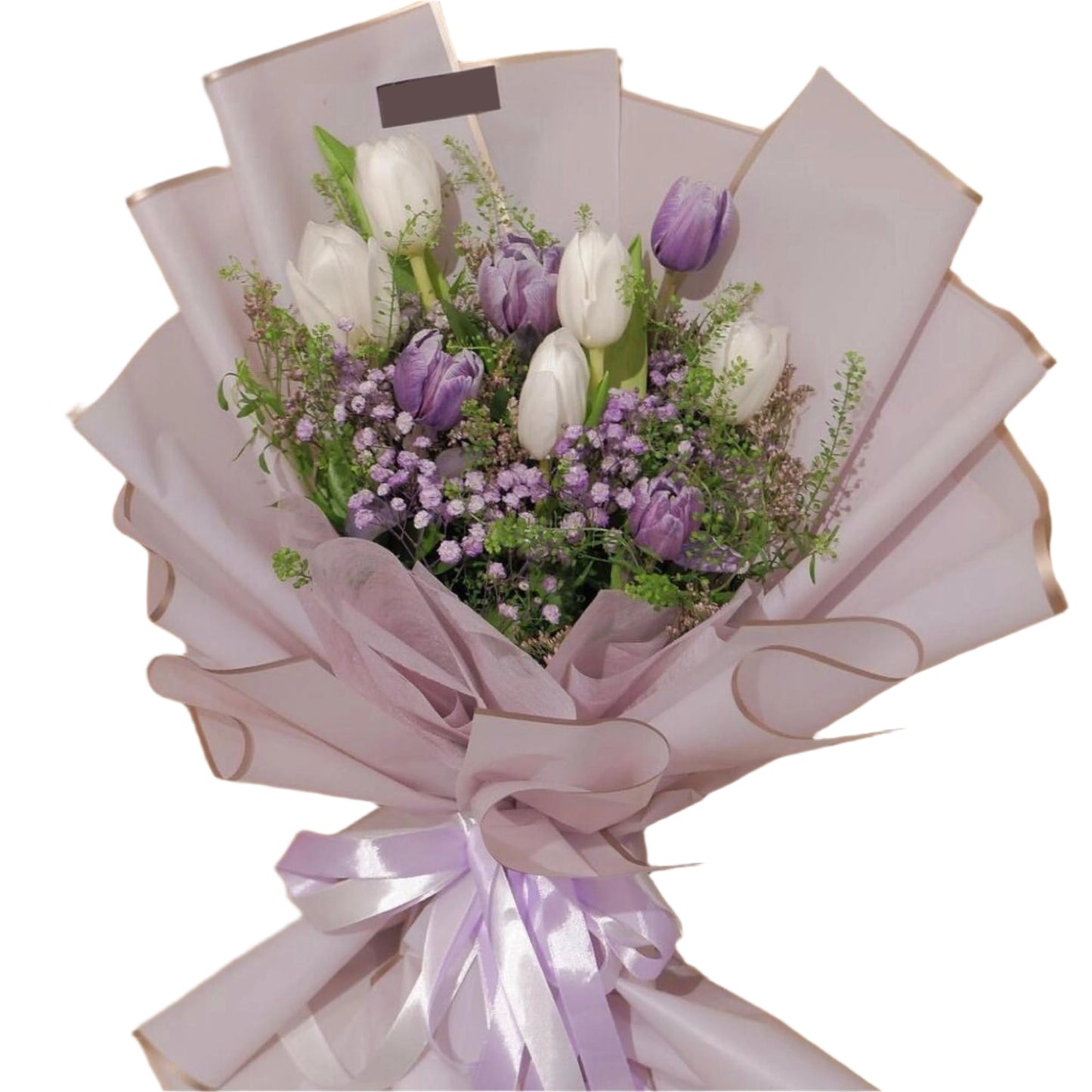 Triumph Stems Purple
