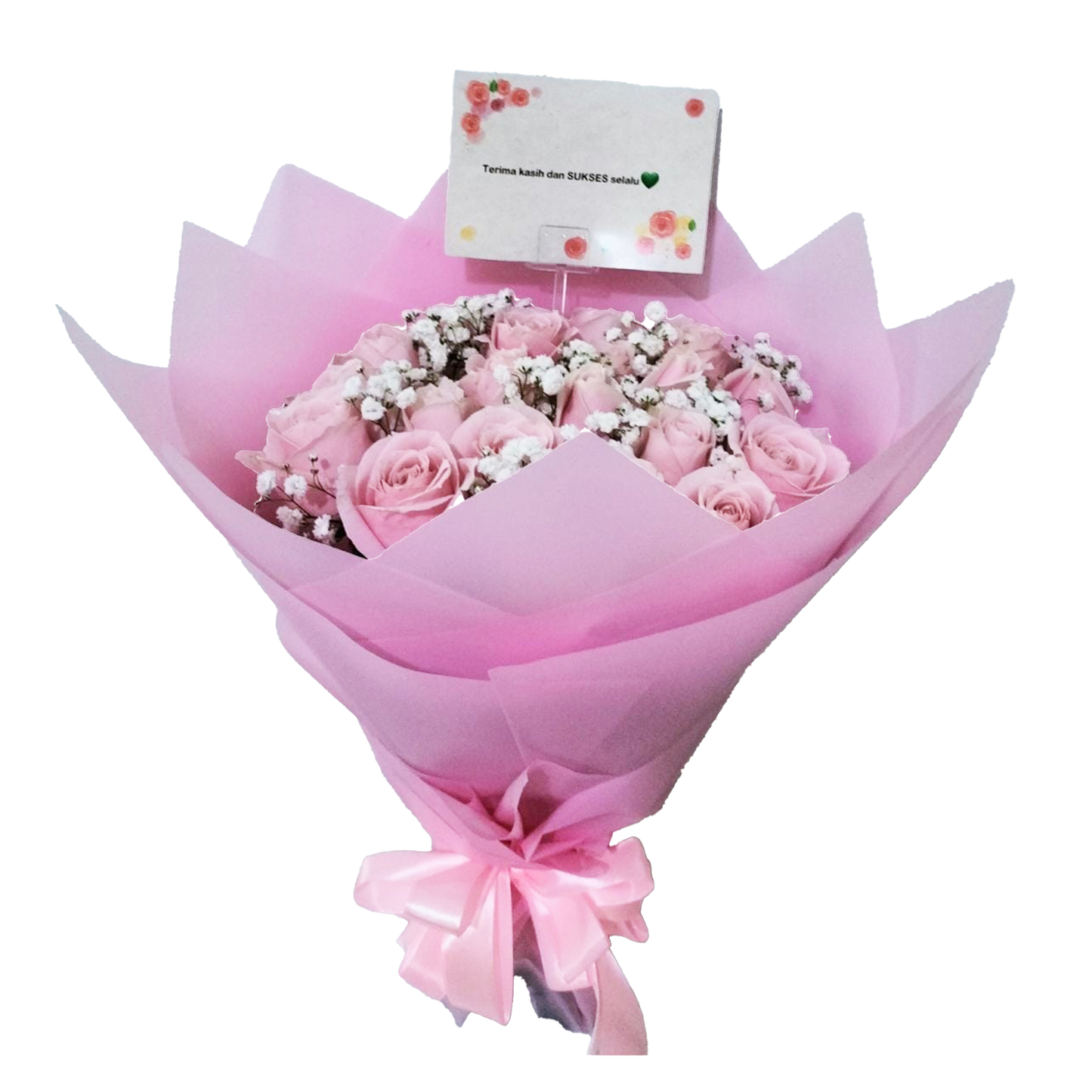 Rose, Fresh Flower, Graduation