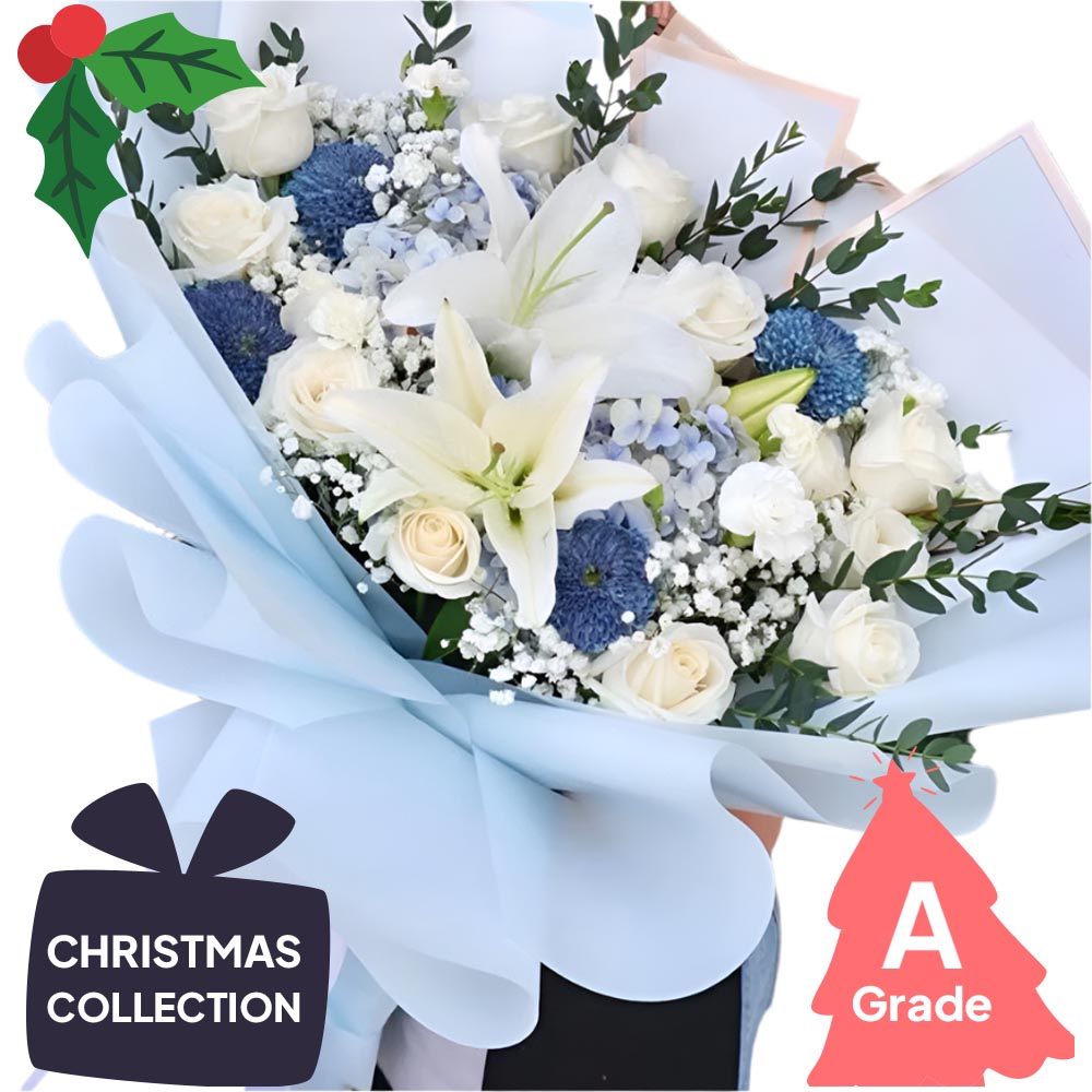 Christmas, Lily, Premium