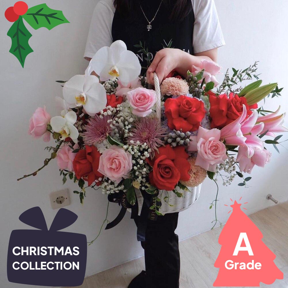 Christmas, Orchid, Rose