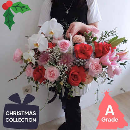 Christmas, Orchid, Rose