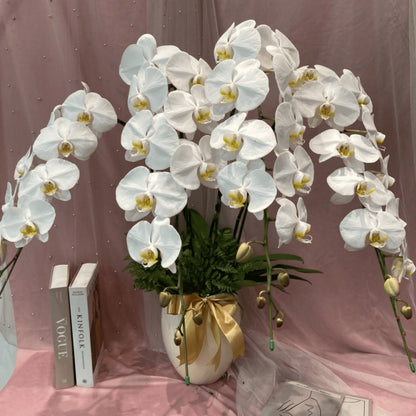 Orchid, Vase, Gift
