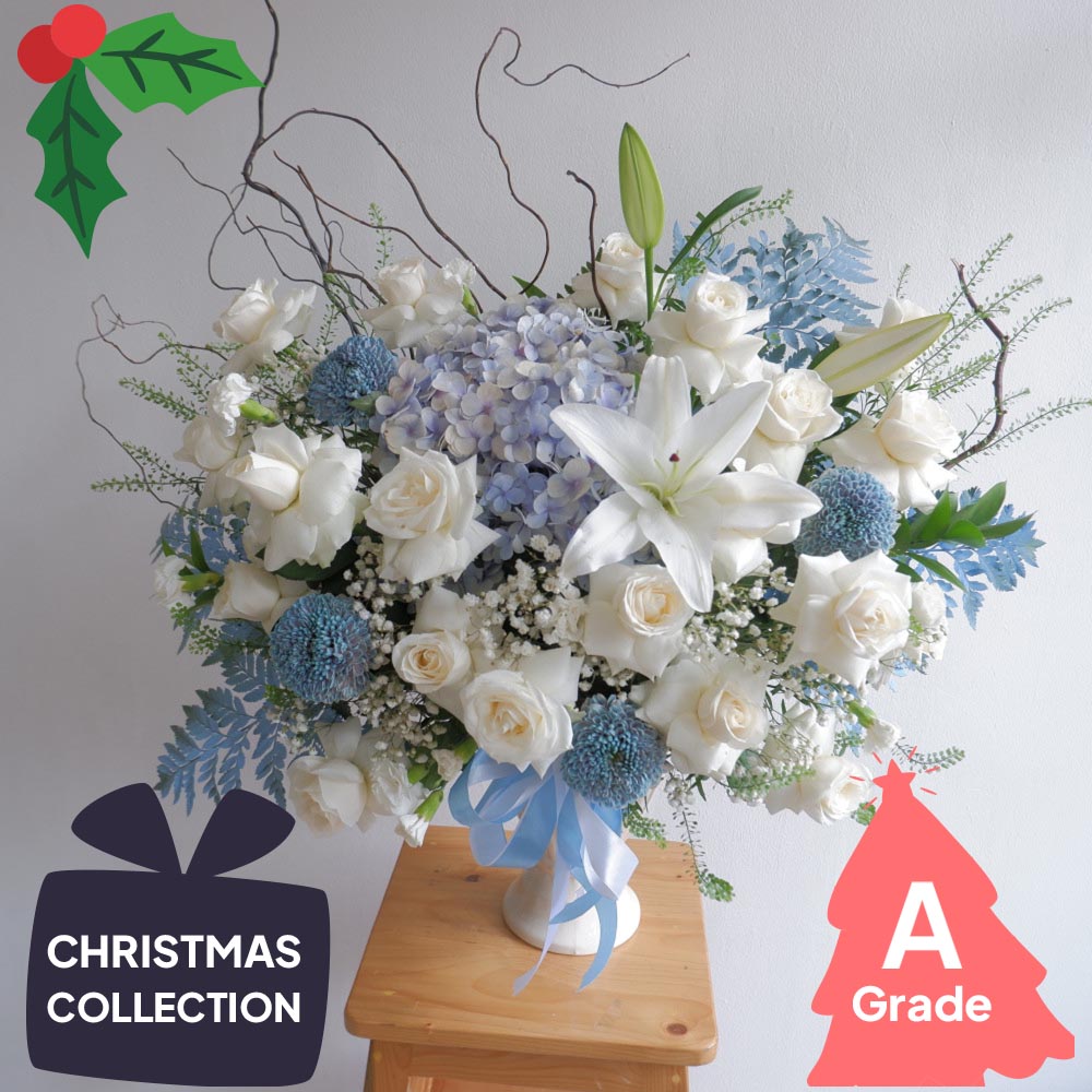 Christmas, Vase, Premium