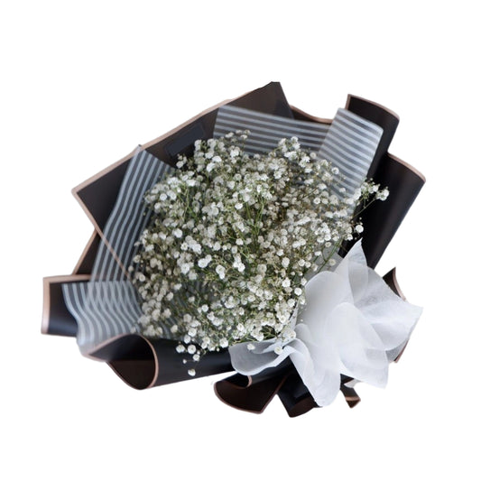 Baby Breath Medium