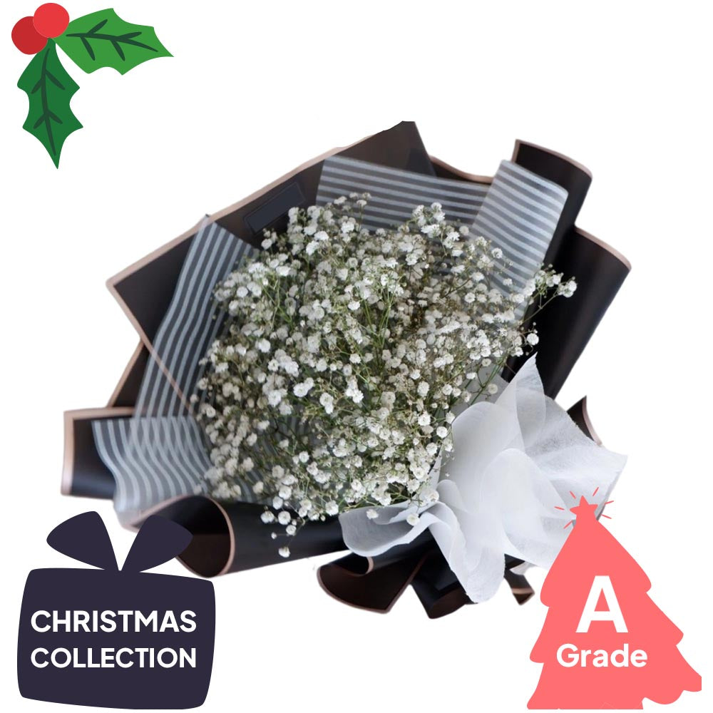 Christmas, Baby Breath, Bouquet