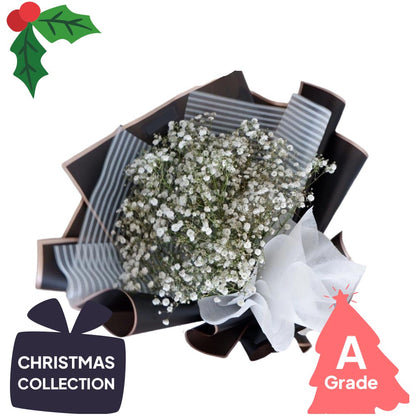 Christmas, Baby Breath, Bouquet