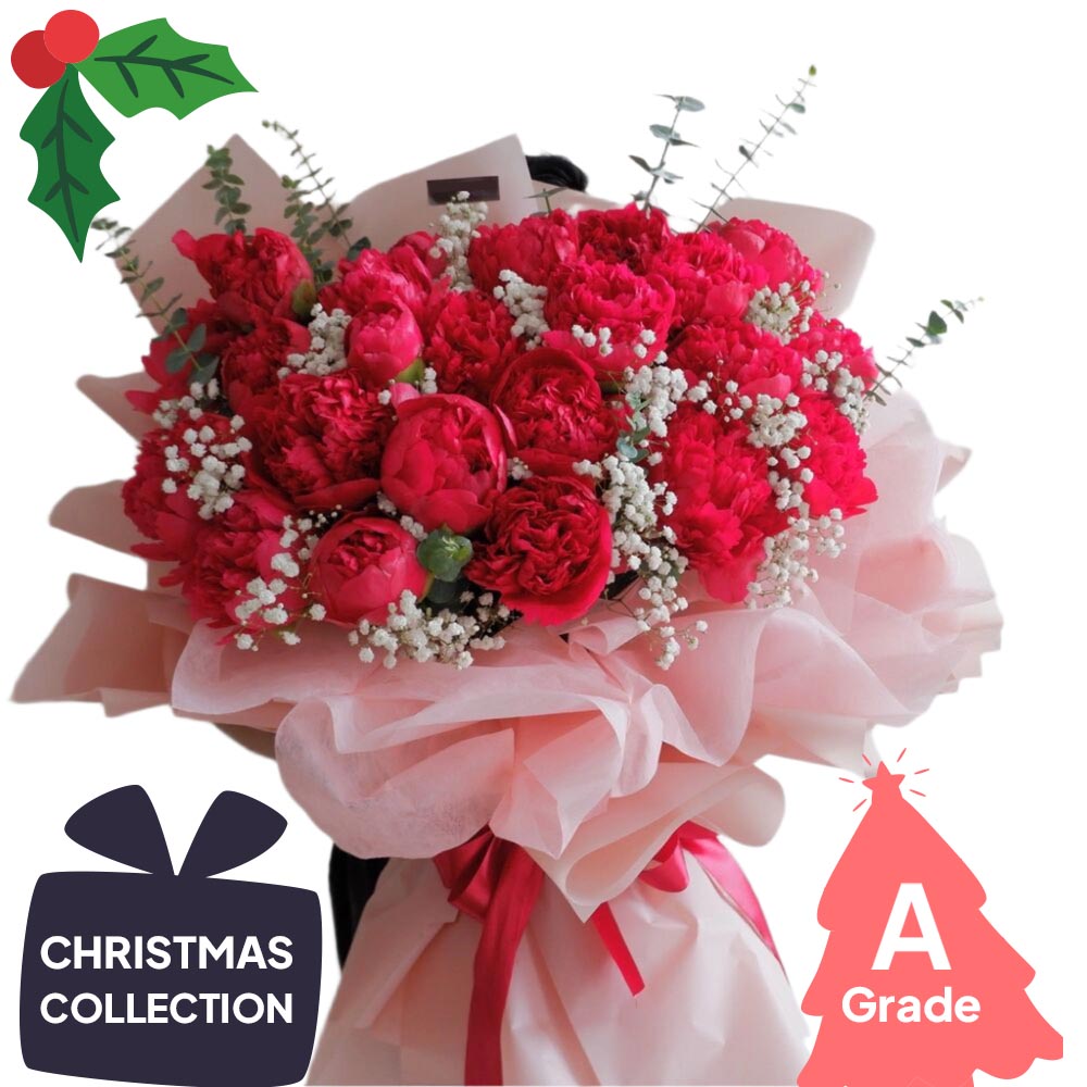 Christmas, Rose, Elegan