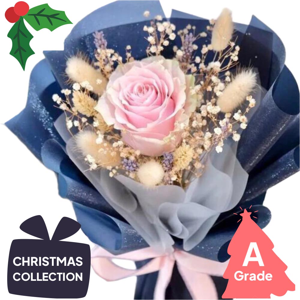 Christmas, Rose, Elegan