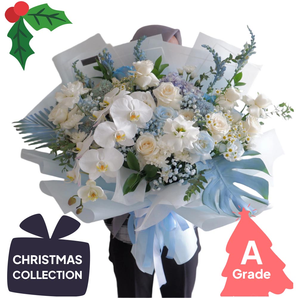 Christmas, Bouquet, Orchid