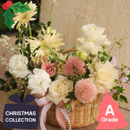 Christmas, Rose, Elegan