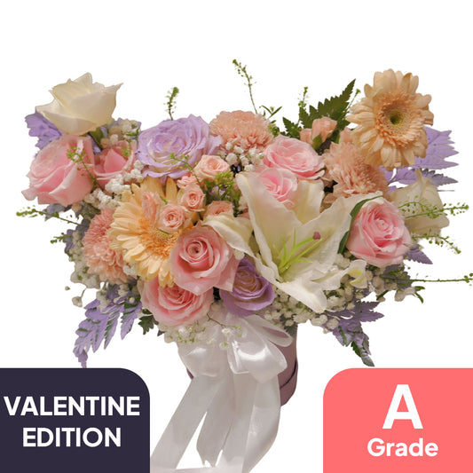 Classic Colony Small