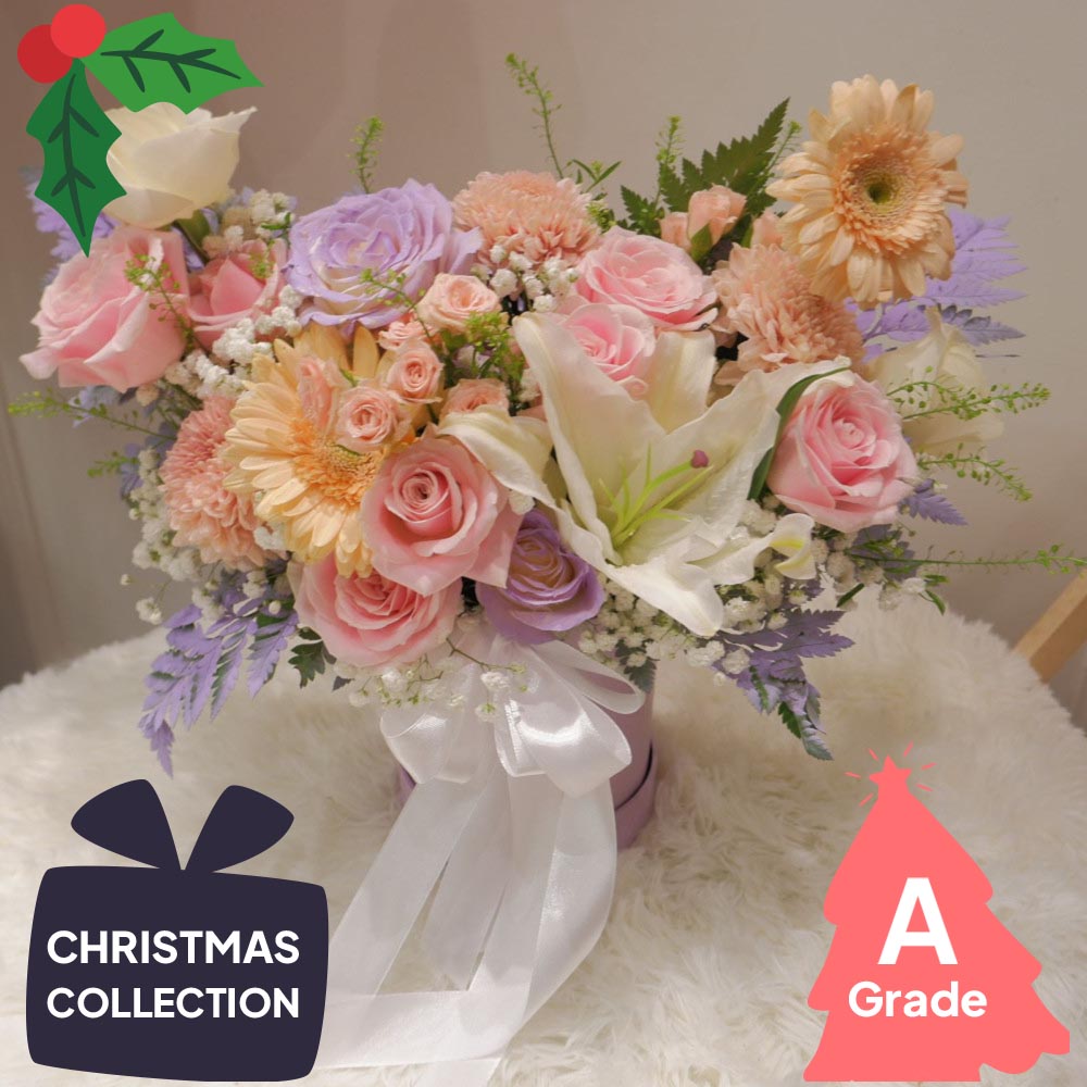 Christmas, Gerbera, Bloombox