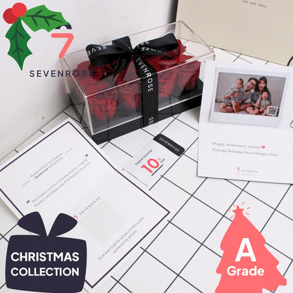 Christmas, Rose, Premium