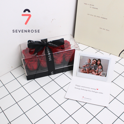Red Rose, Premium, Graduation