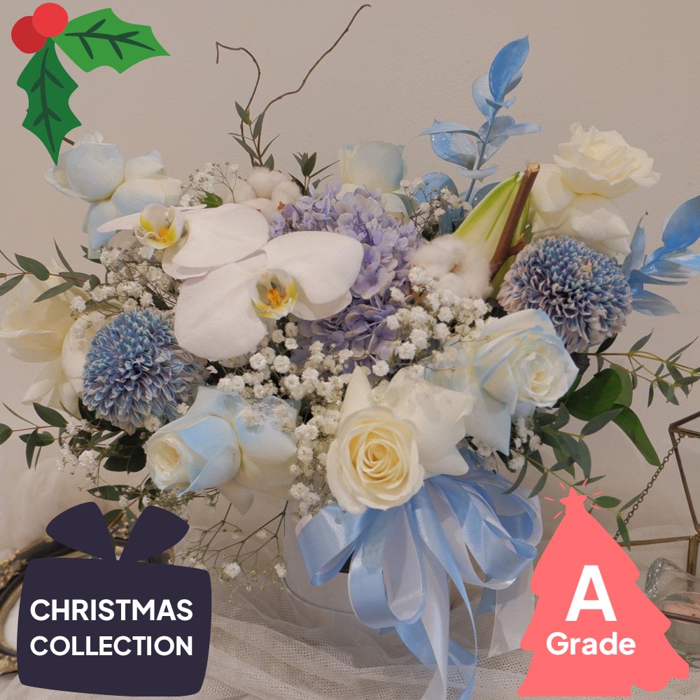 Christmas, Bloombox, Orchid