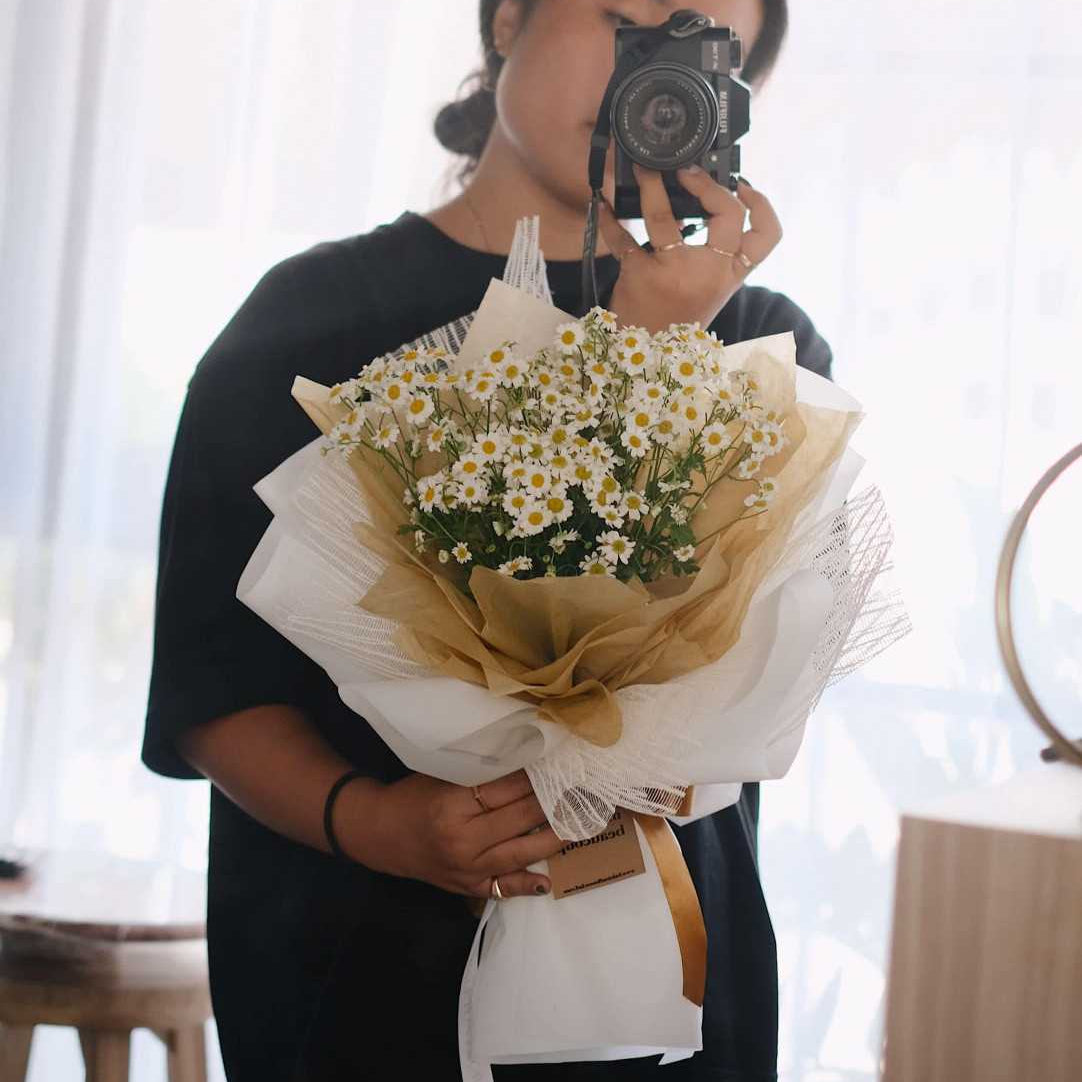Daisy, Flower, Premium