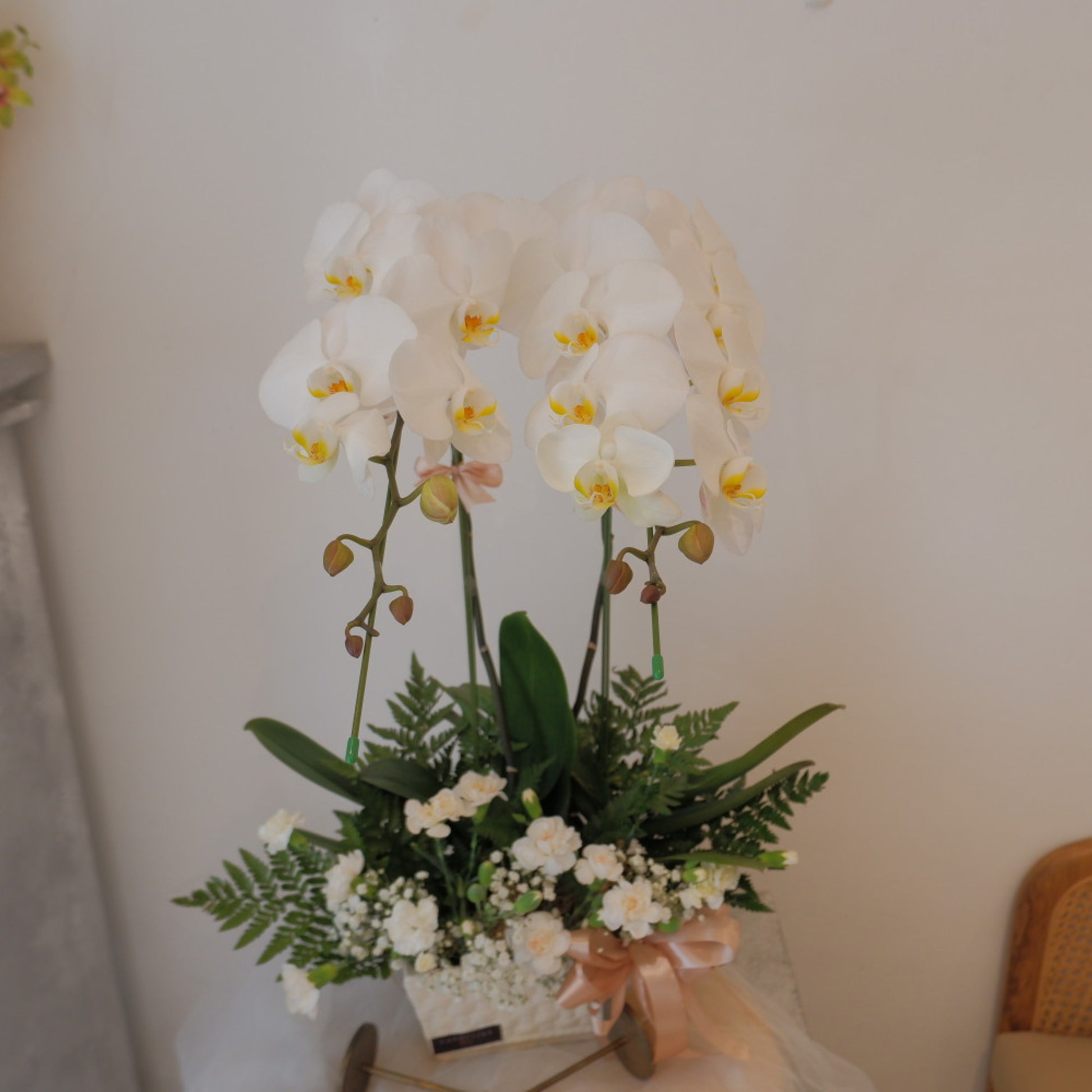 Orchid, Vase, Gift