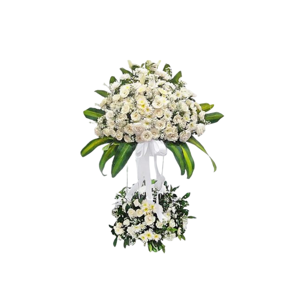 Double White - AXA