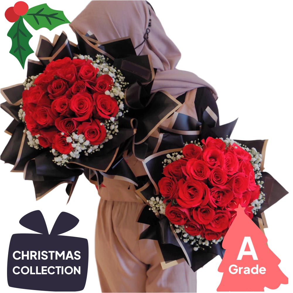 Christmas, Rose, Baby Breath