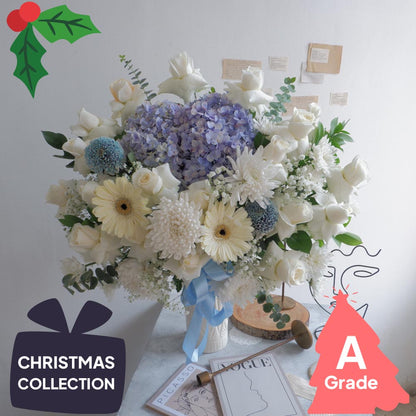 Christmas, Vase, Hydrangea