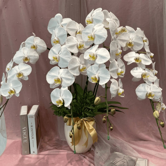 Arrancar Orchid