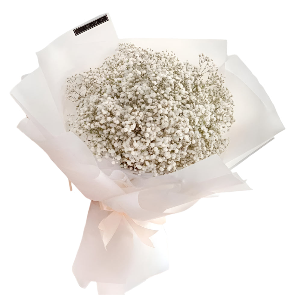 Baby Breath, Graduation, Premium