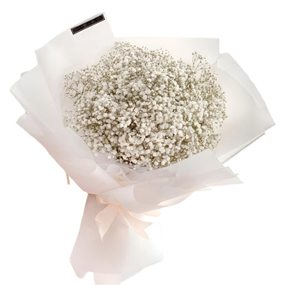Baby Breath, Graduation, Premium