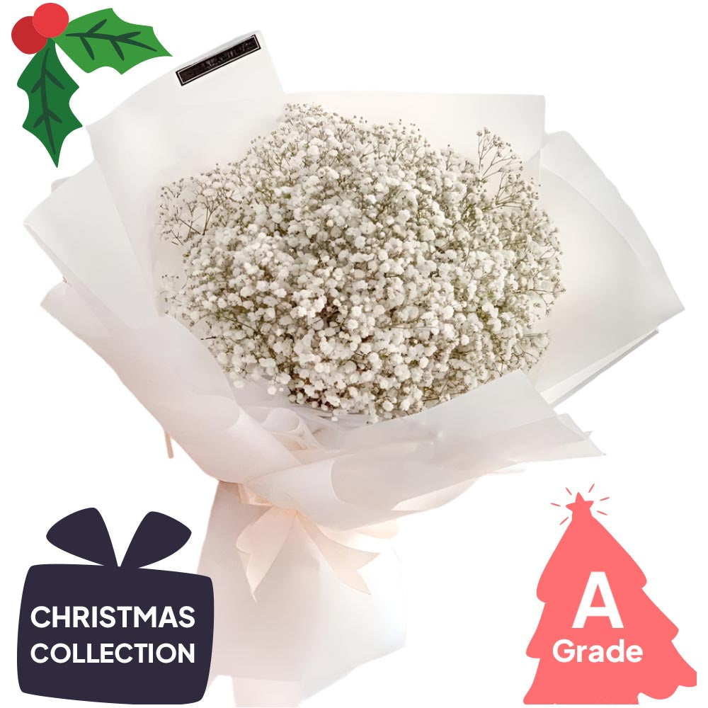 Christmas, Premium, Baby Breath