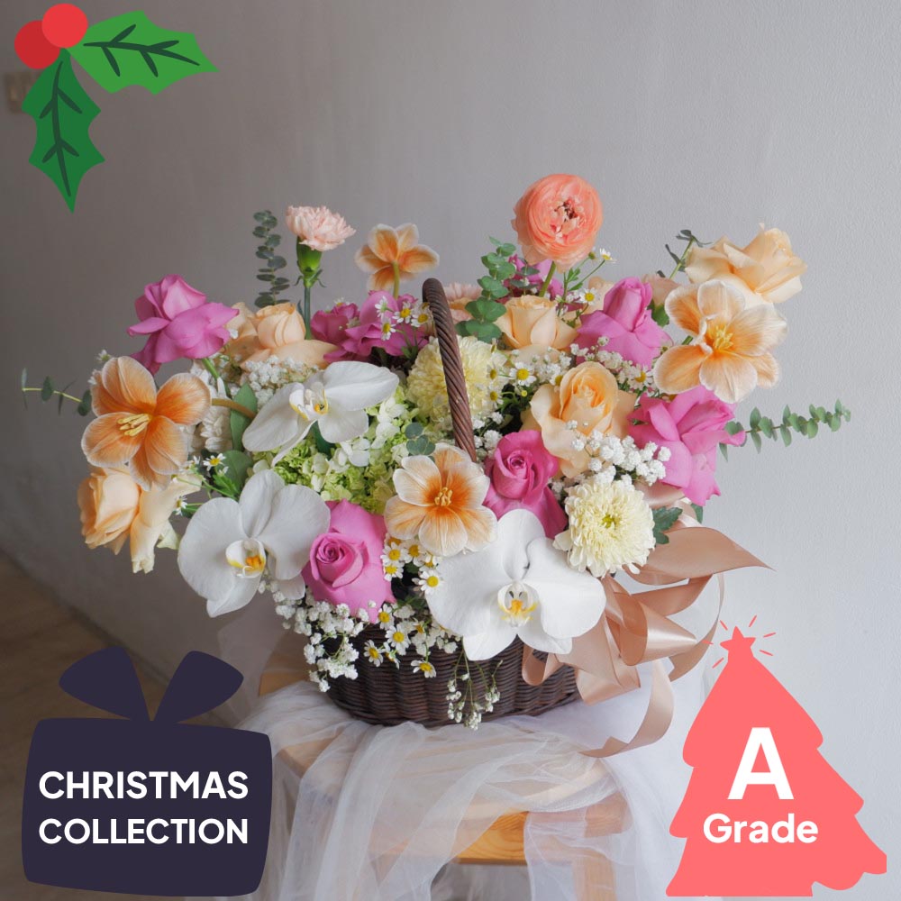 Christmas, Premium, Fresh