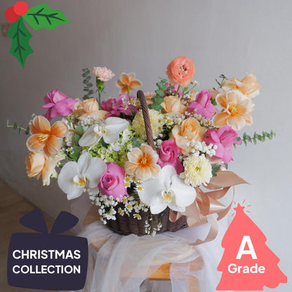 Christmas, Premium, Fresh