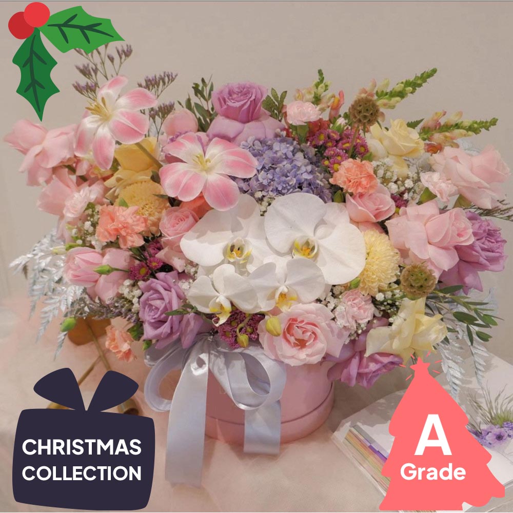 Christmas, Bloombox, Orchid