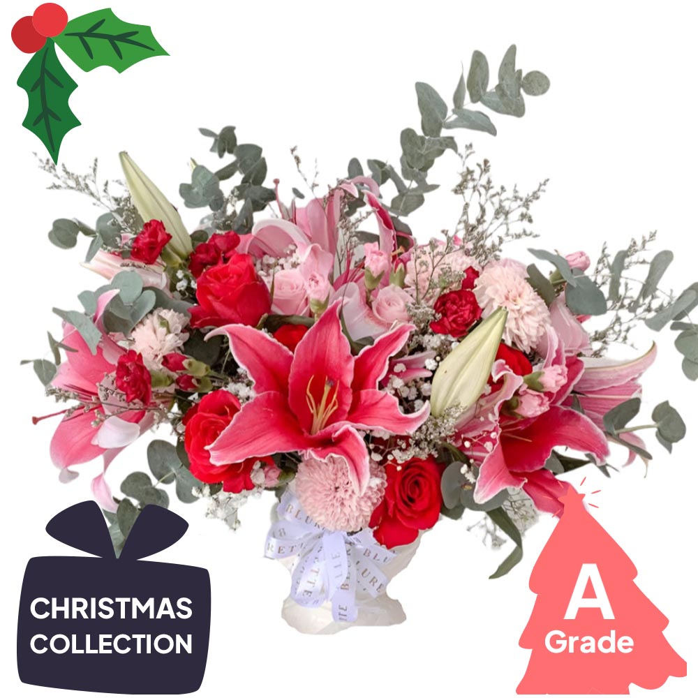 Christmas, Vase, Lily