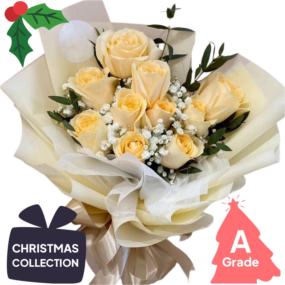 Christmas. Rose, Premium