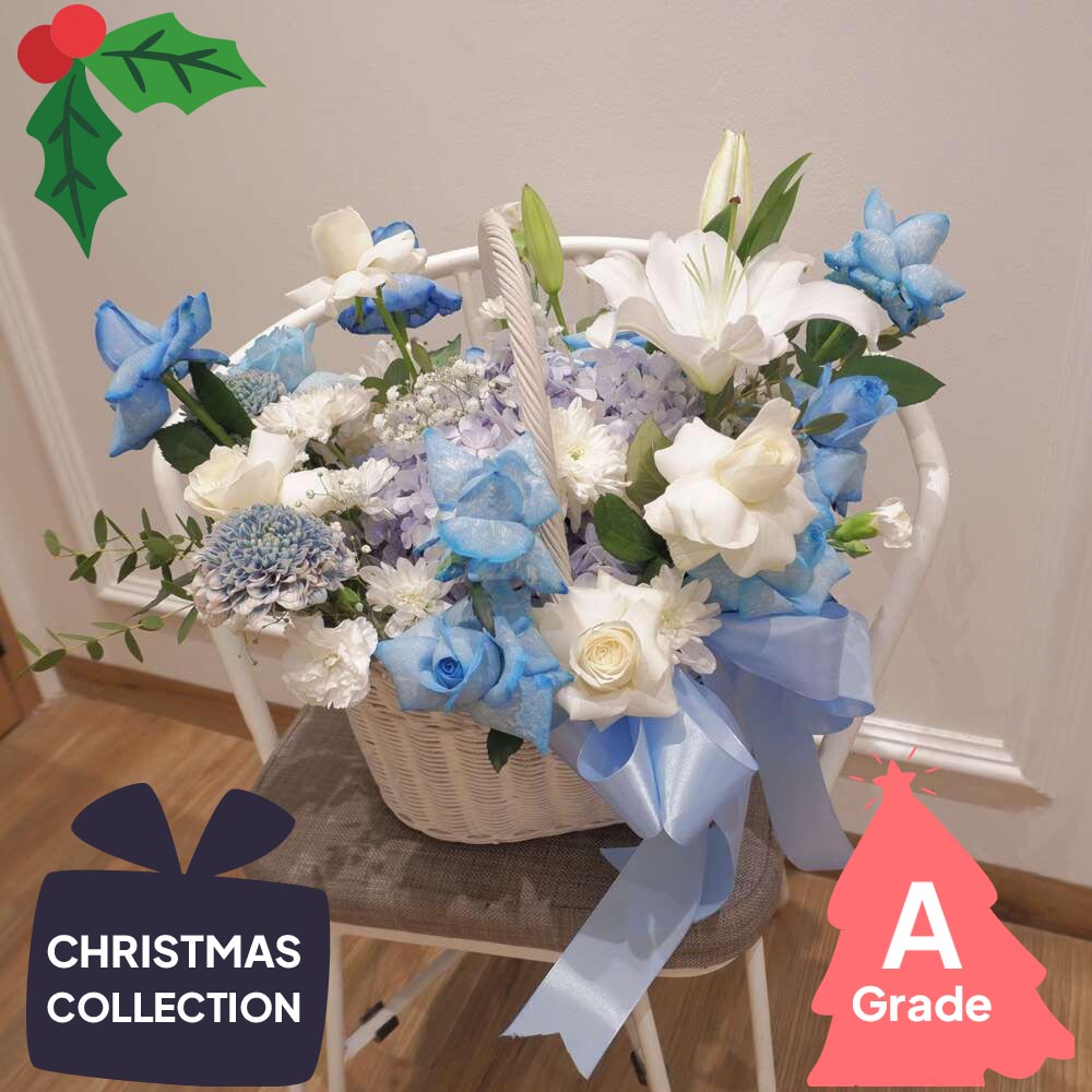 Christmas, Hydrangea, Elegan