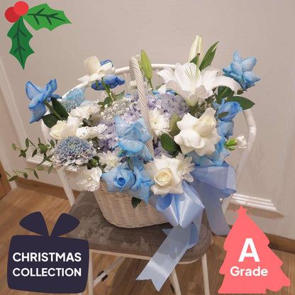 Christmas, Hydrangea, Elegan