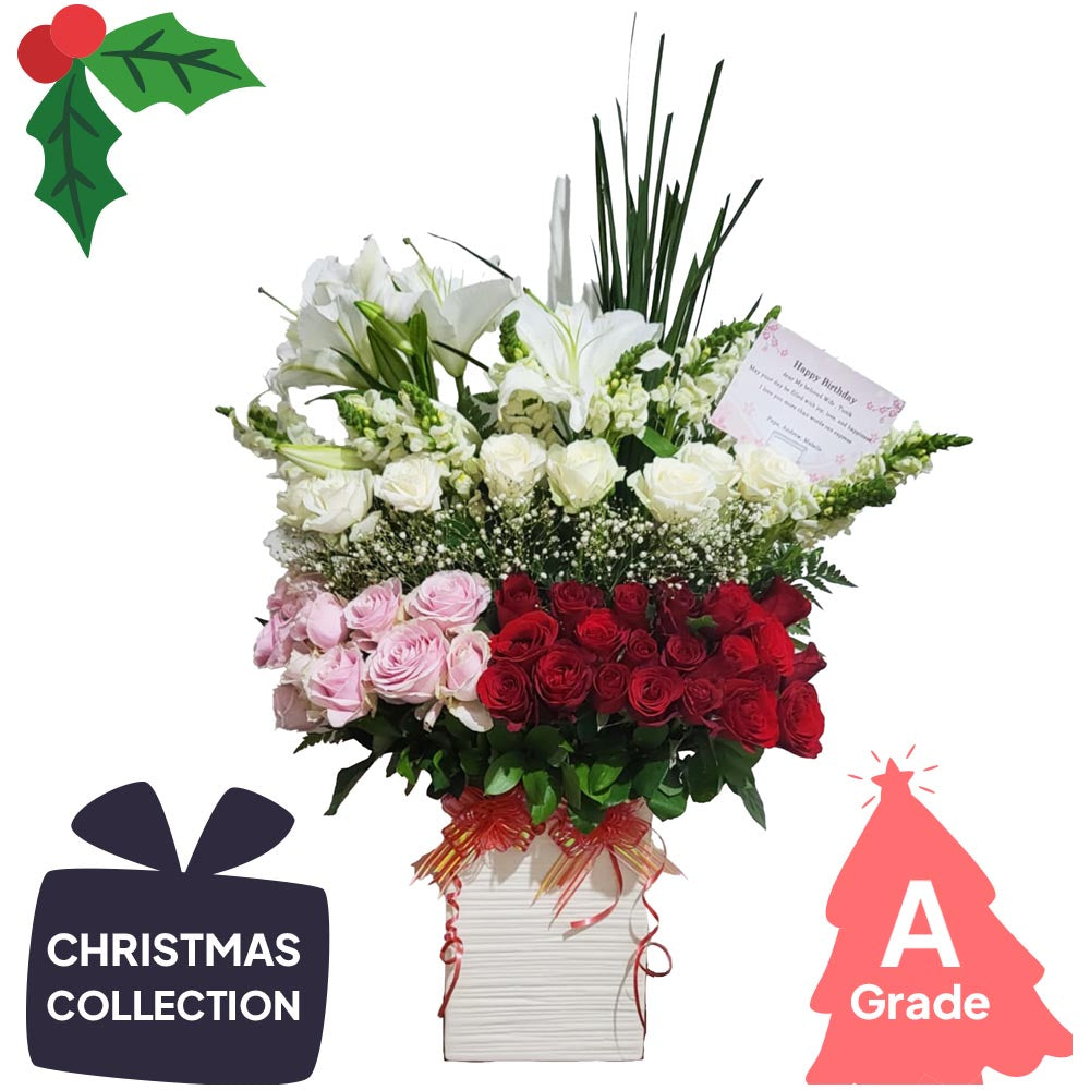 Christmas, Vase, Fresh