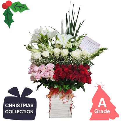 Christmas, Vase, Fresh