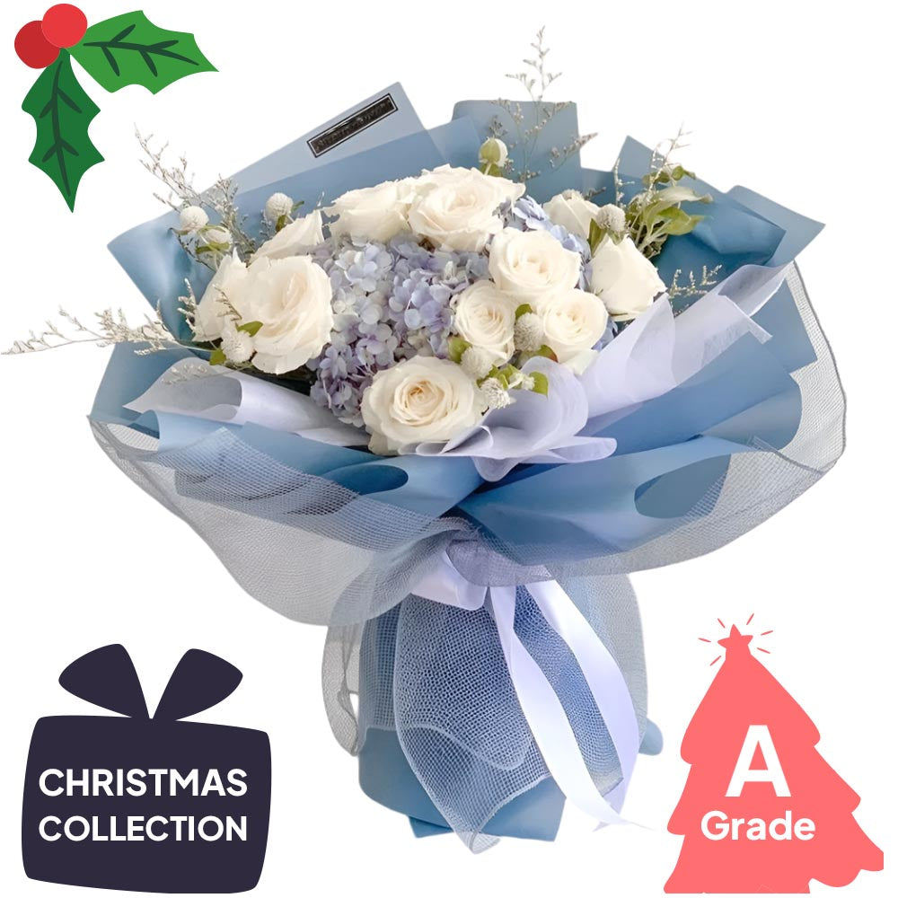 Christmas, Hydrangea, Rose