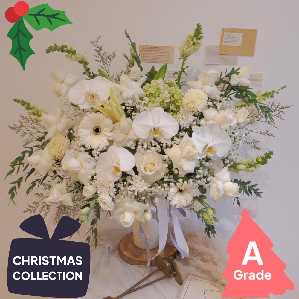 Christmas, Vase, Gerbera