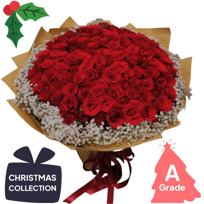 Christmas, Rose, Premium