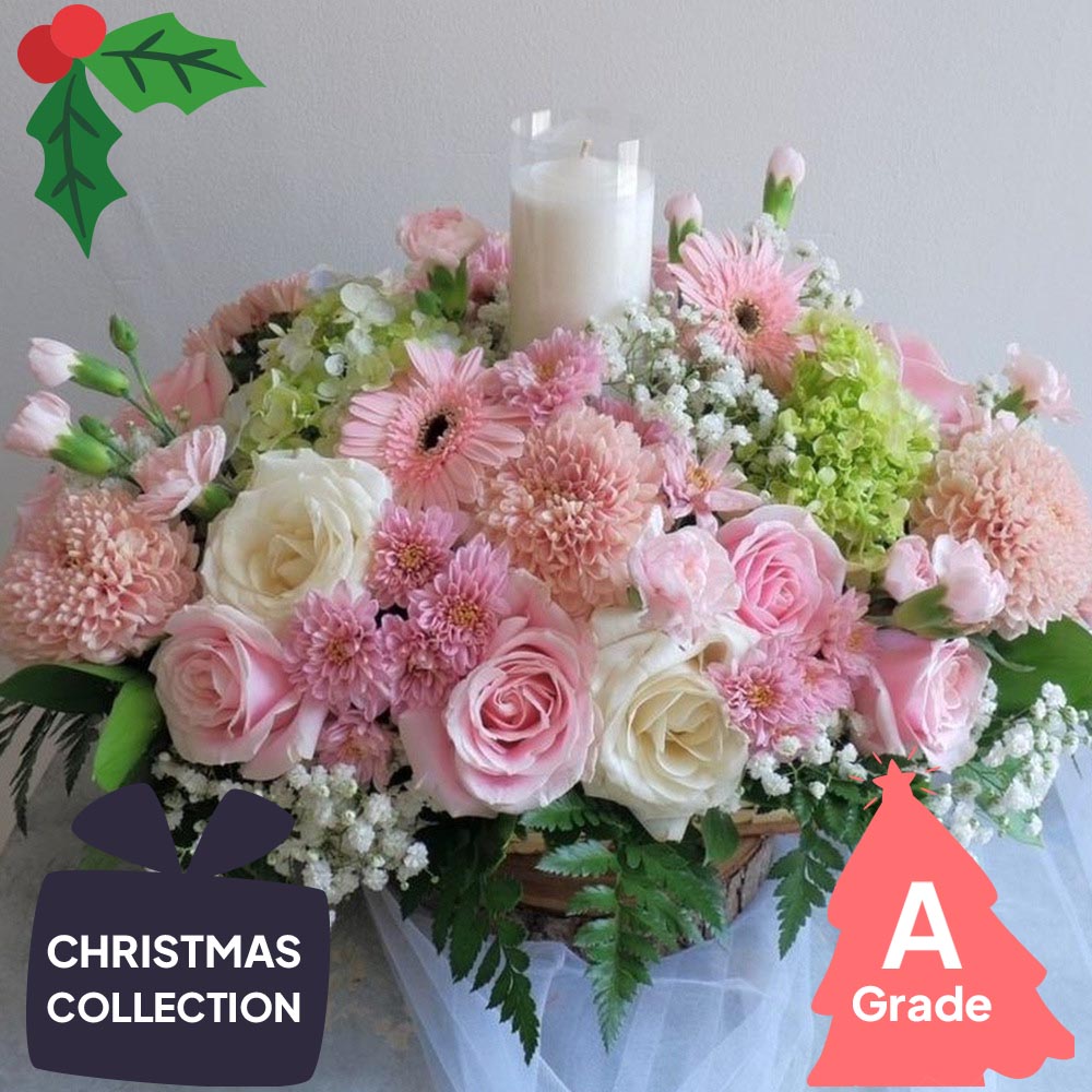 Christmas, Gerbera, Rose