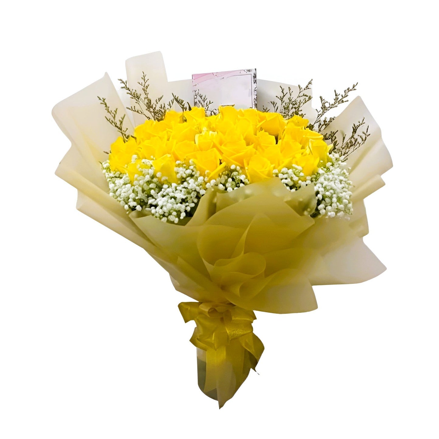 Rose, Yellow, Graduations