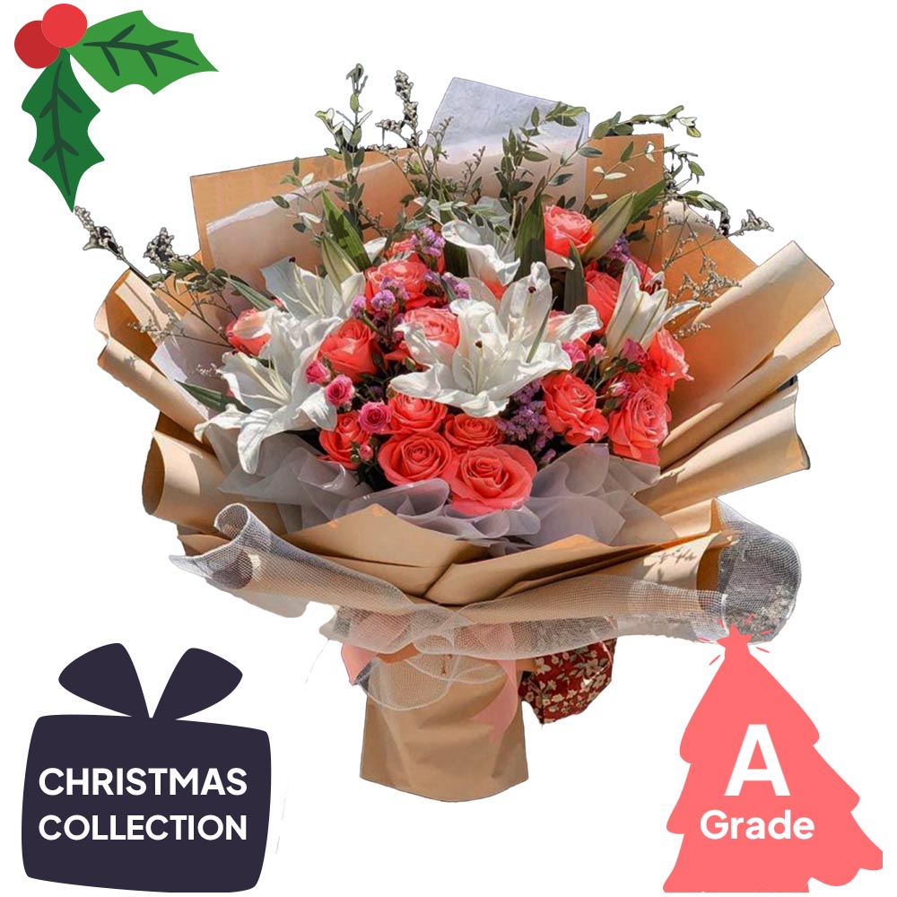 Christmas, Lily, Premium