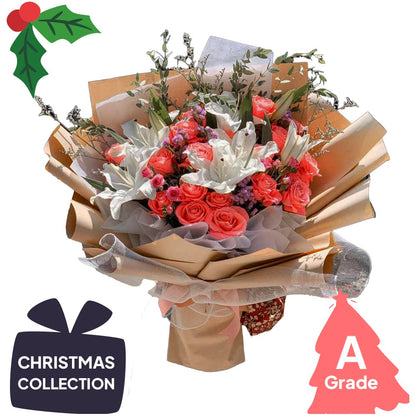 Christmas, Lily, Premium