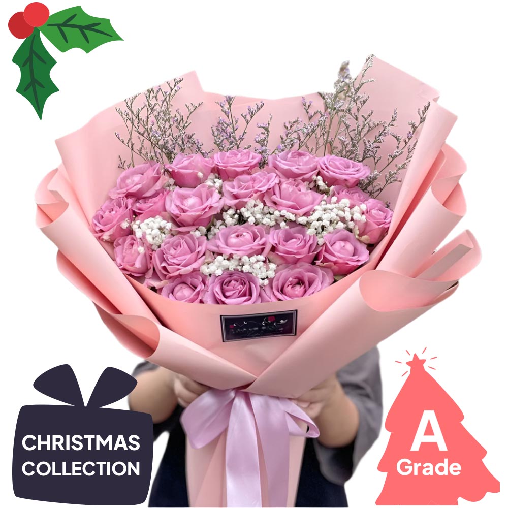 Christmas, Rose, Premium