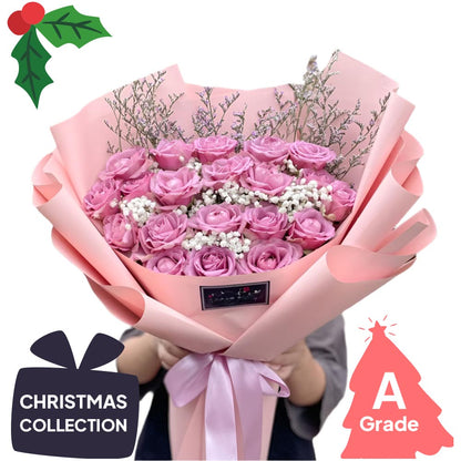 Christmas, Rose, Premium