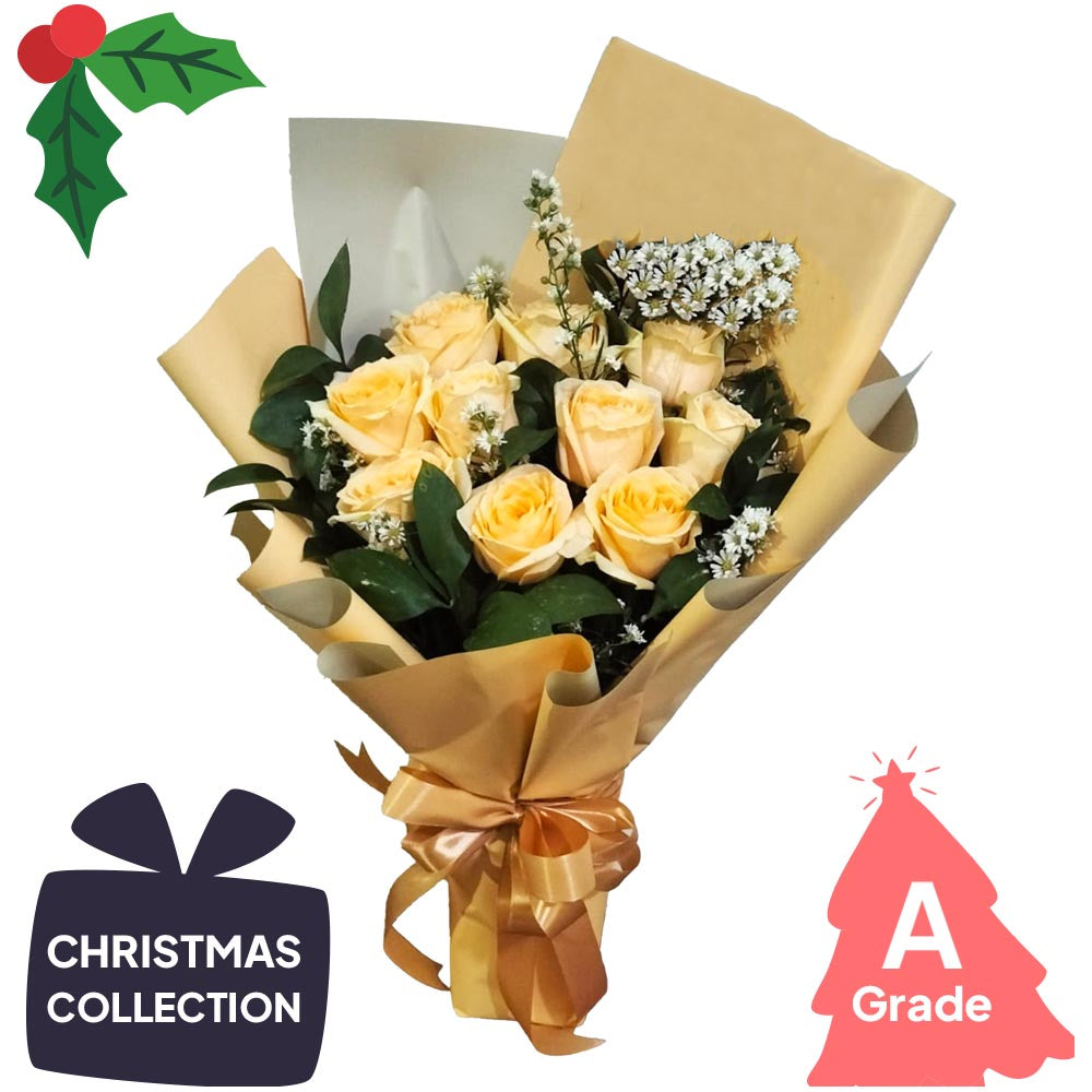 Christmas, Rose, Elegan
